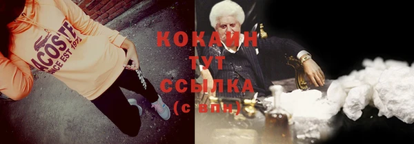 спайс Арсеньев