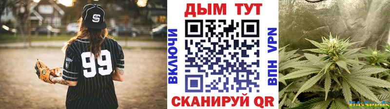 Шишки марихуана план  Кинель 